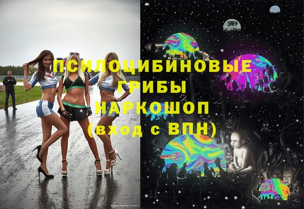 ГАЛЛЮЦИНОГЕННЫЕ ГРИБЫ Армянск