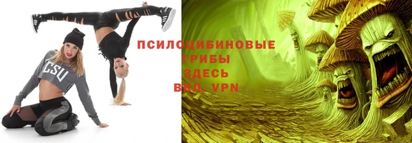 ГАЛЛЮЦИНОГЕННЫЕ ГРИБЫ Армянск