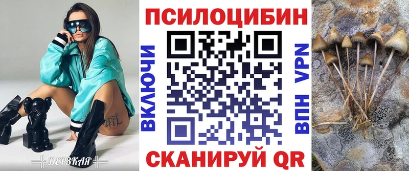 Псилоцибиновые грибы GOLDEN TEACHER  купить закладку  Богучар 